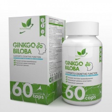  NaturalSupp Ginkgo Biloba Extract 60 